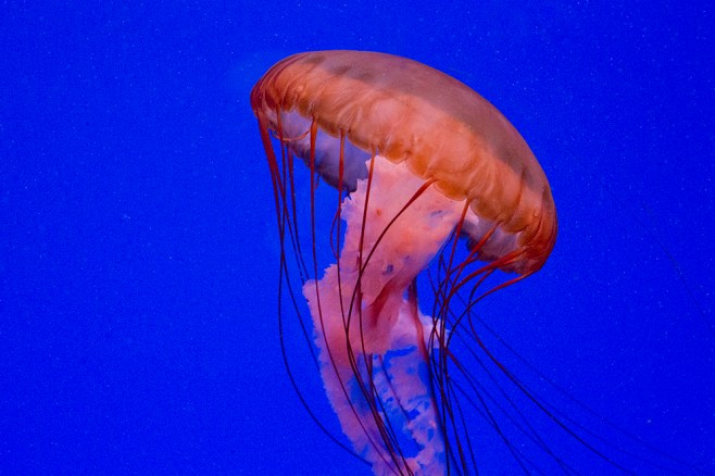 photo-for-monday-28th-april